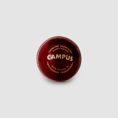 SG Campus Cricket Ball