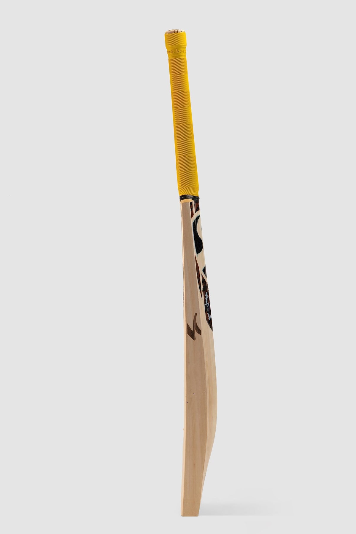 SG Ishan Kishan English Willow Cricket Bat