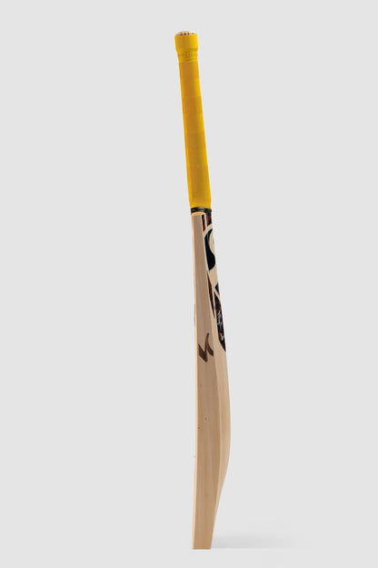 SG Ishan Kishan English Willow Cricket Bat