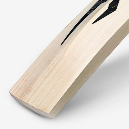 DSC BLAK 5 English Willow Cricket Bat