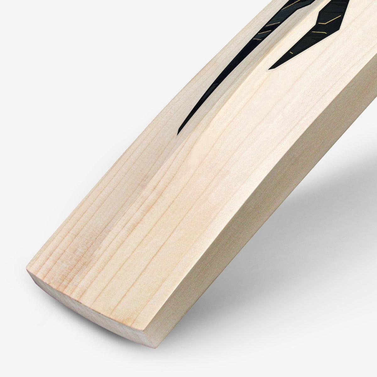 DSC BLAK Pro English Willow Cricket Bat