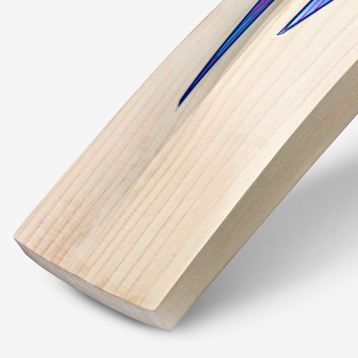 DSC BLU 550 English Willow Cricket Bat