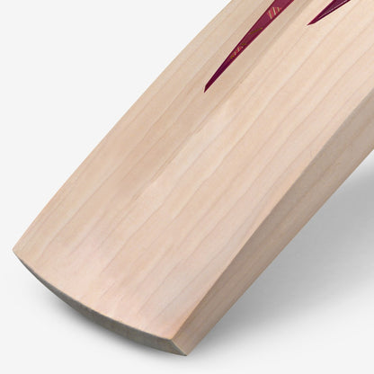 DSC Condor Atmos English Willow Cricket Bat