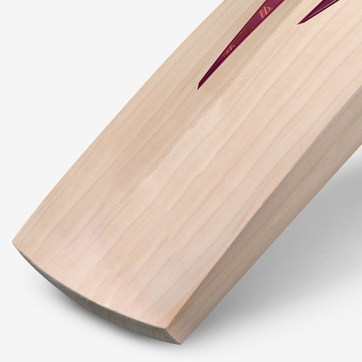 DSC Condor Pro English Willow Cricket Bat