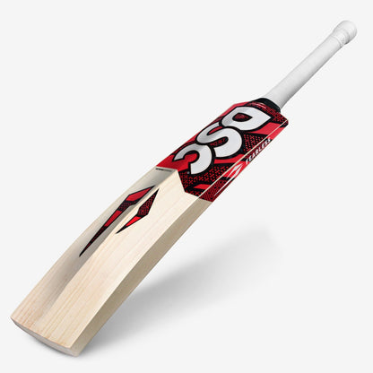 DSC Intense Passion English Willow Cricket Bat