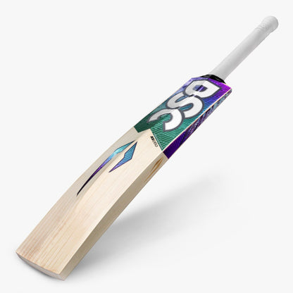 DSC RS 060 English Willow Cricket Bat