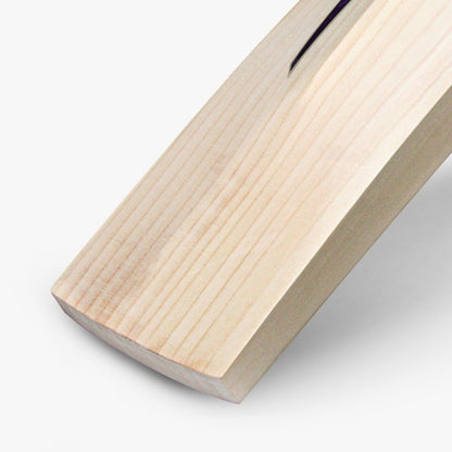 DSC RS 080 English Willow Cricket Bat