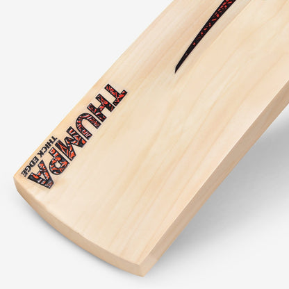 DSC Thumpa 3000 English Willow Cricket Bat